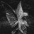 Keith_Farroll